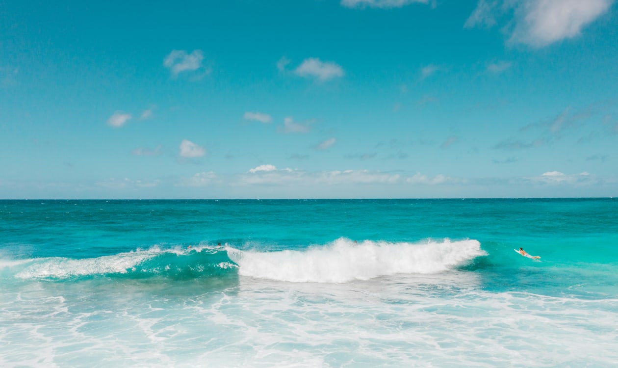 Surfers riding turquoise ocean waves under a clear blue sky in Puerto Escondido, Mexico in January
