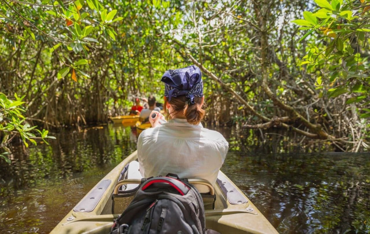 kayaking mangroves Mexico