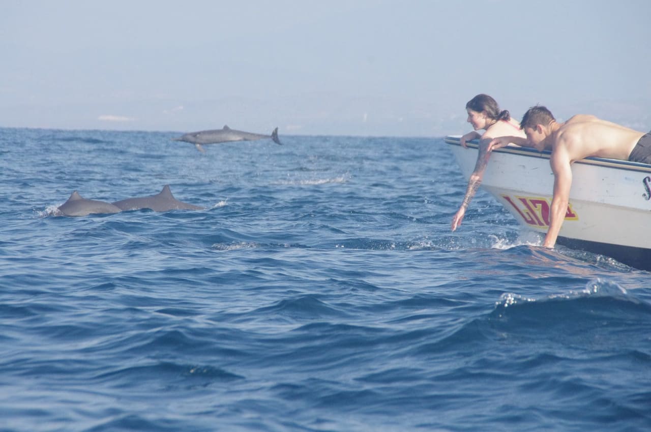 lancha delfines