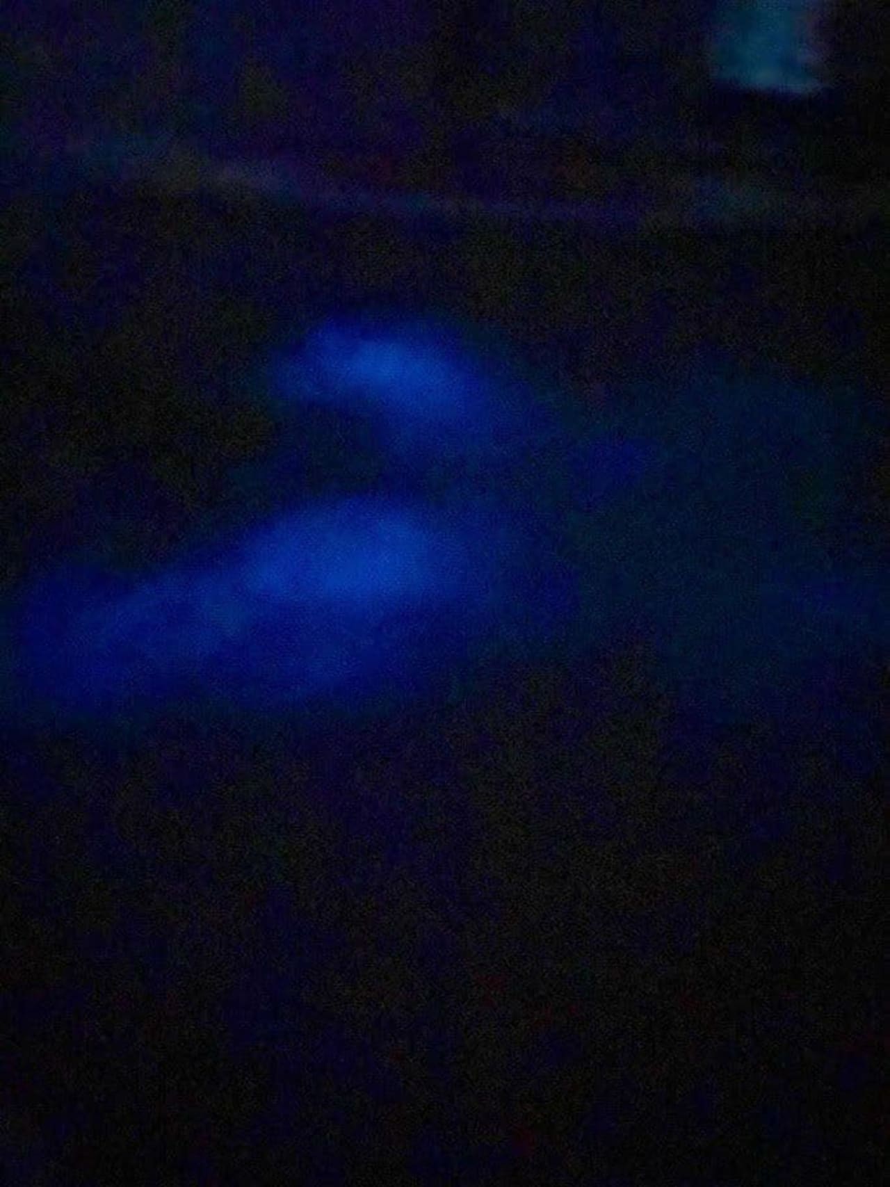 Tour Privado de Bioluminiscencia 1