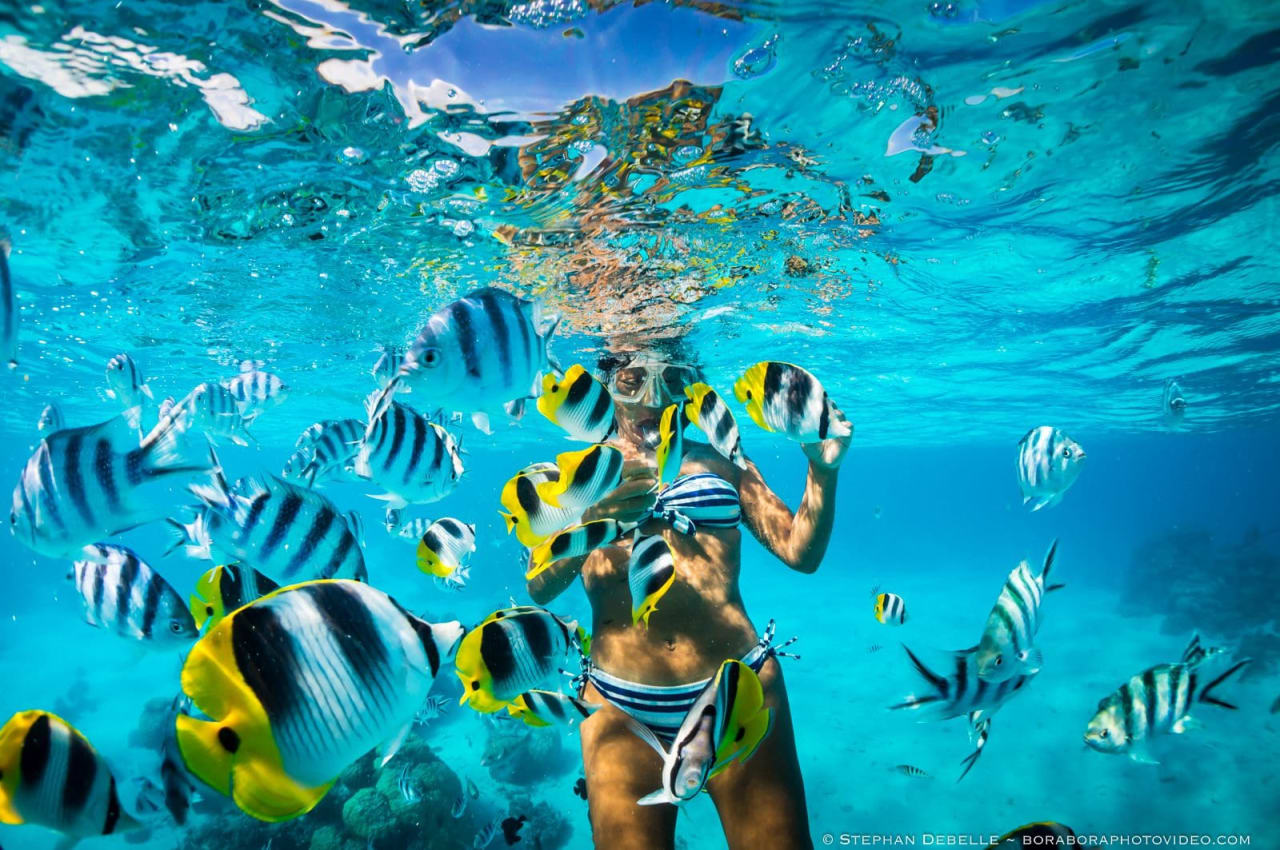 Snorkelling in Puerto Escondido
