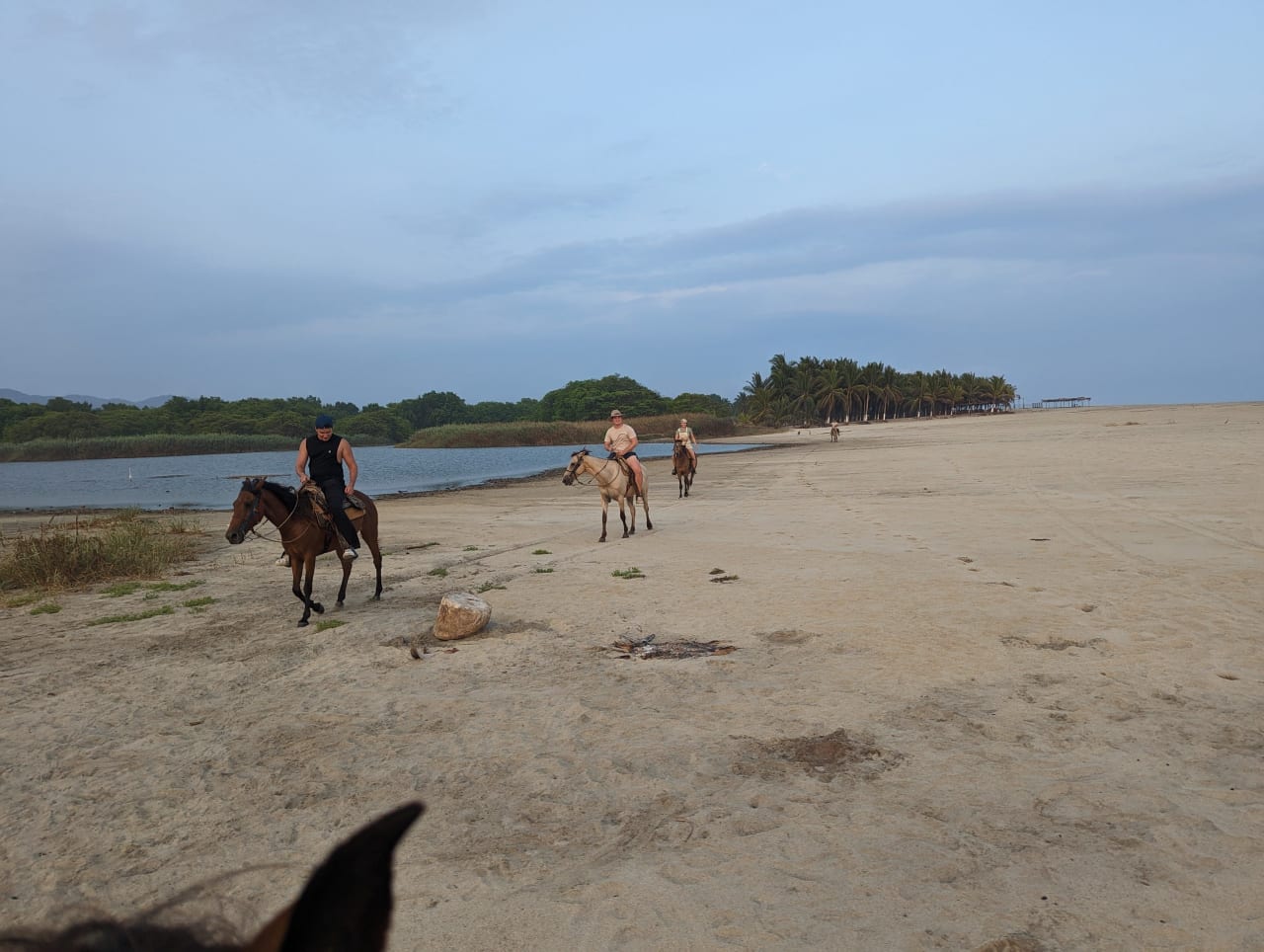 Top 10 Horseback Riding Tips for Beginners in Puerto Escondido