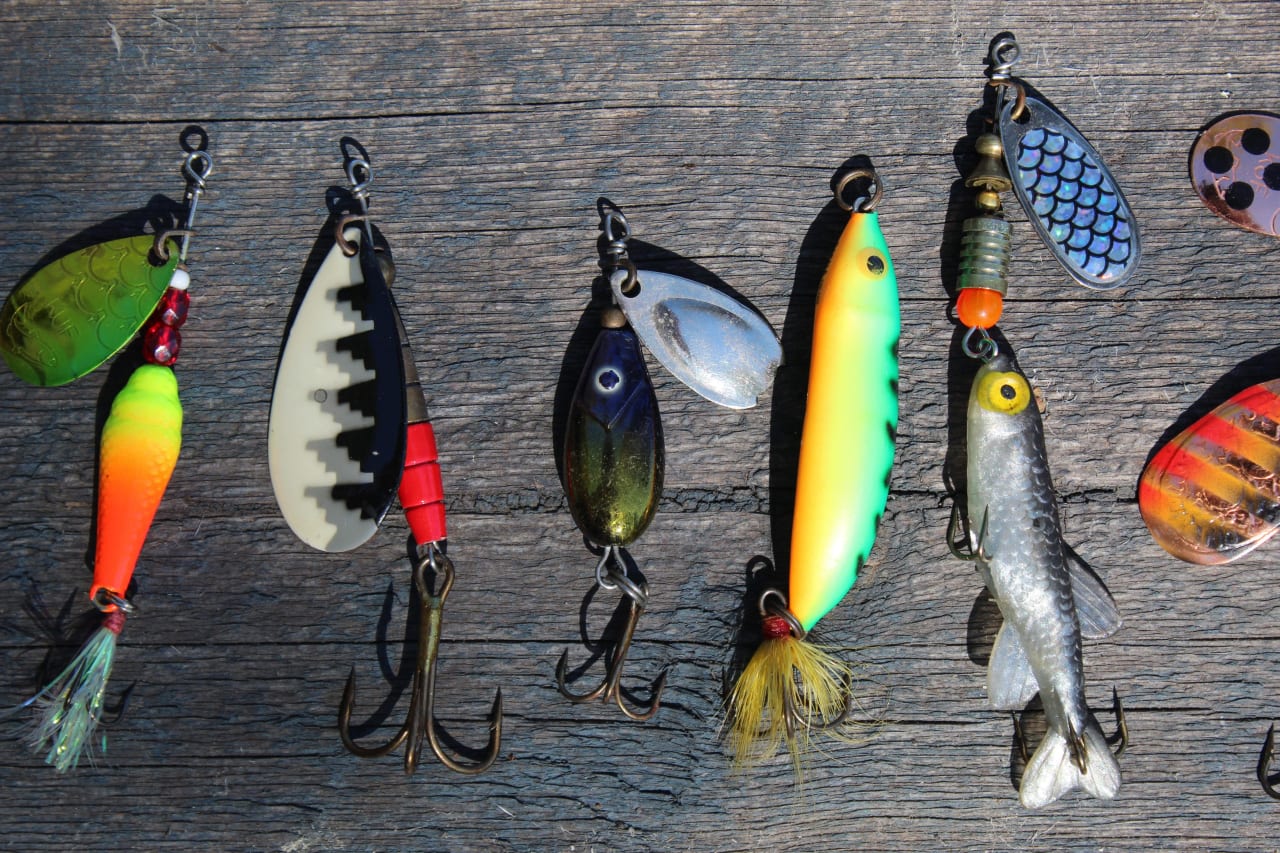 A Visitor’s Guide to Enjoying the November Fishing Contest in Puerto Escondido