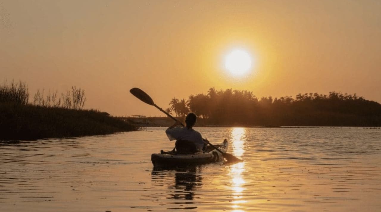 The Flora and Fauna You’ll Encounter Kayaking in Puerto Escondido’s Mangroves