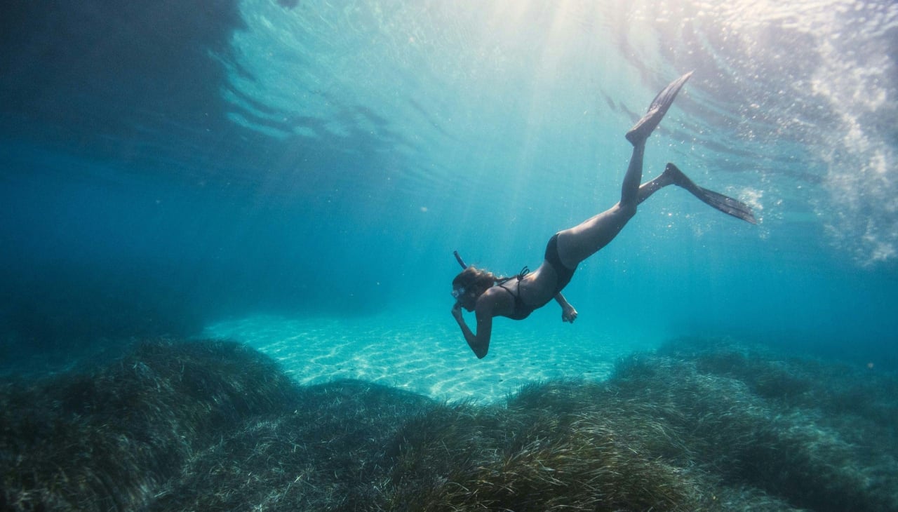 Qué esperar en un tour de snorkel en Puerto Escondido