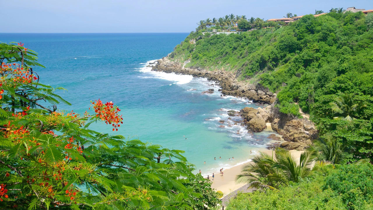 Playa Carrizalillo: Guía Completa de la Mejor Playa para Nadar de Puerto Escondido