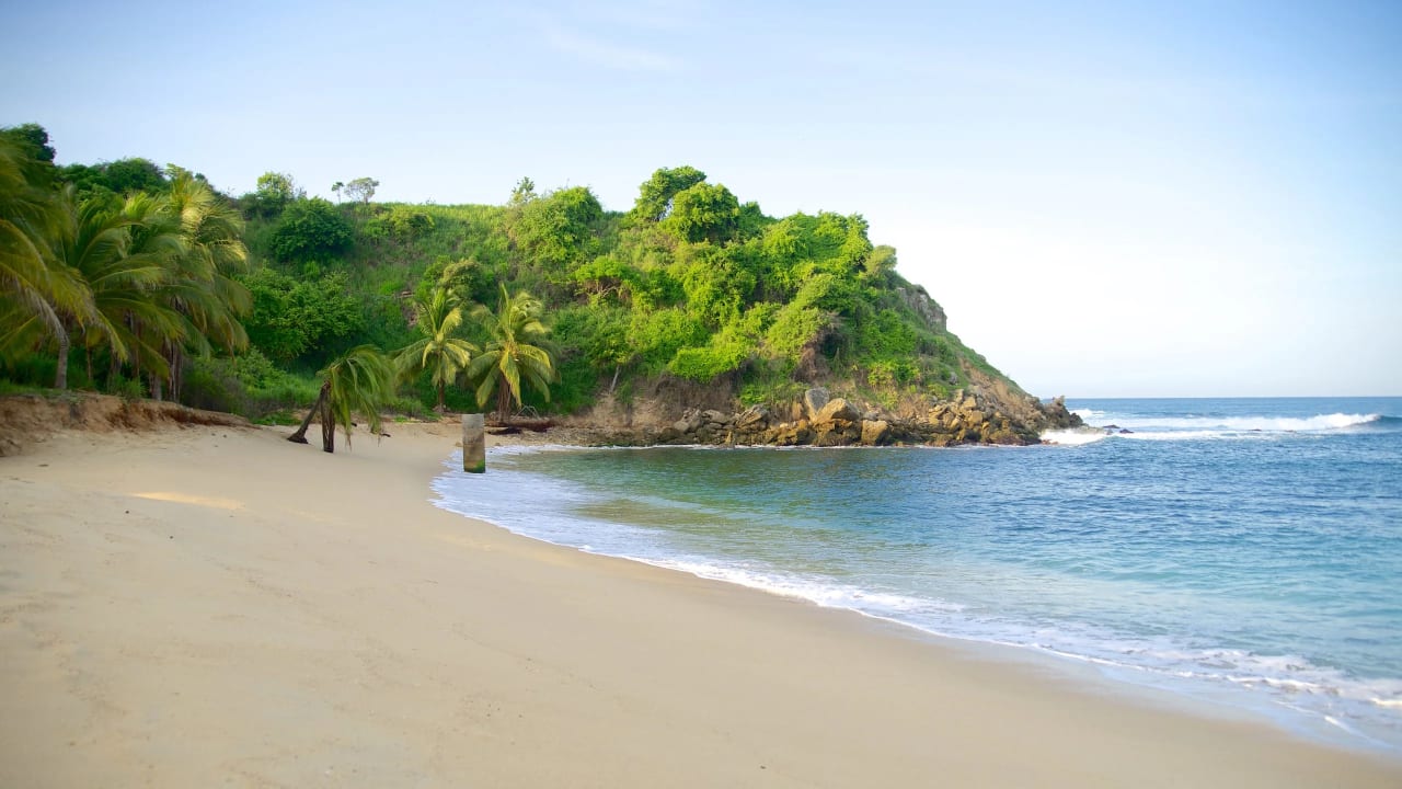 Playa Bacocho Puerto Escondido: Guía Completa para Liberación de Tortugas y Aventuras de Surf