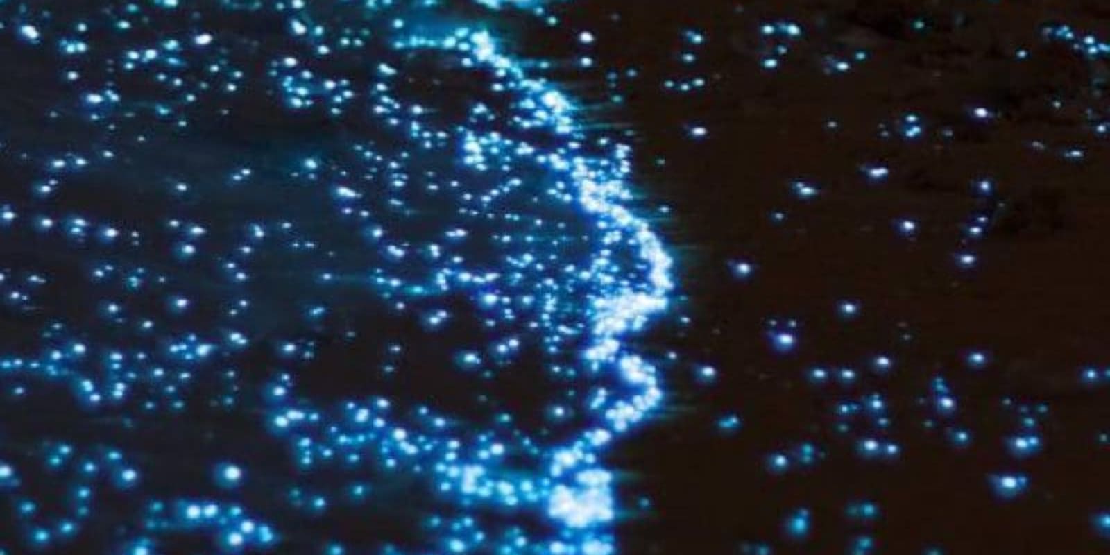 Agua bioluminiscente brillando en azul alrededor de una persona nadando de noche en la Laguna de Manialtepec