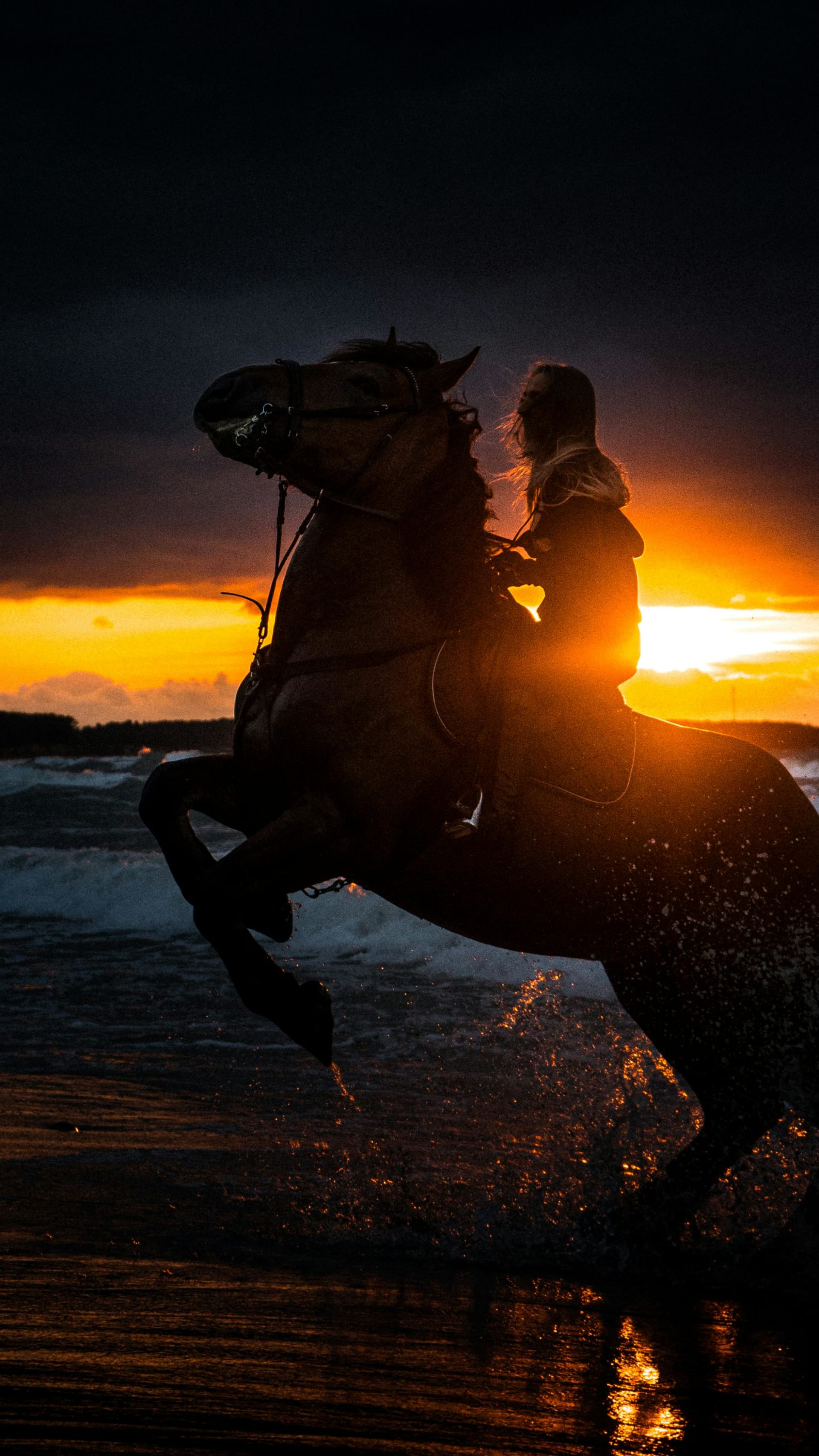 Dramatic horseback riding silhouette on the beach at sunset