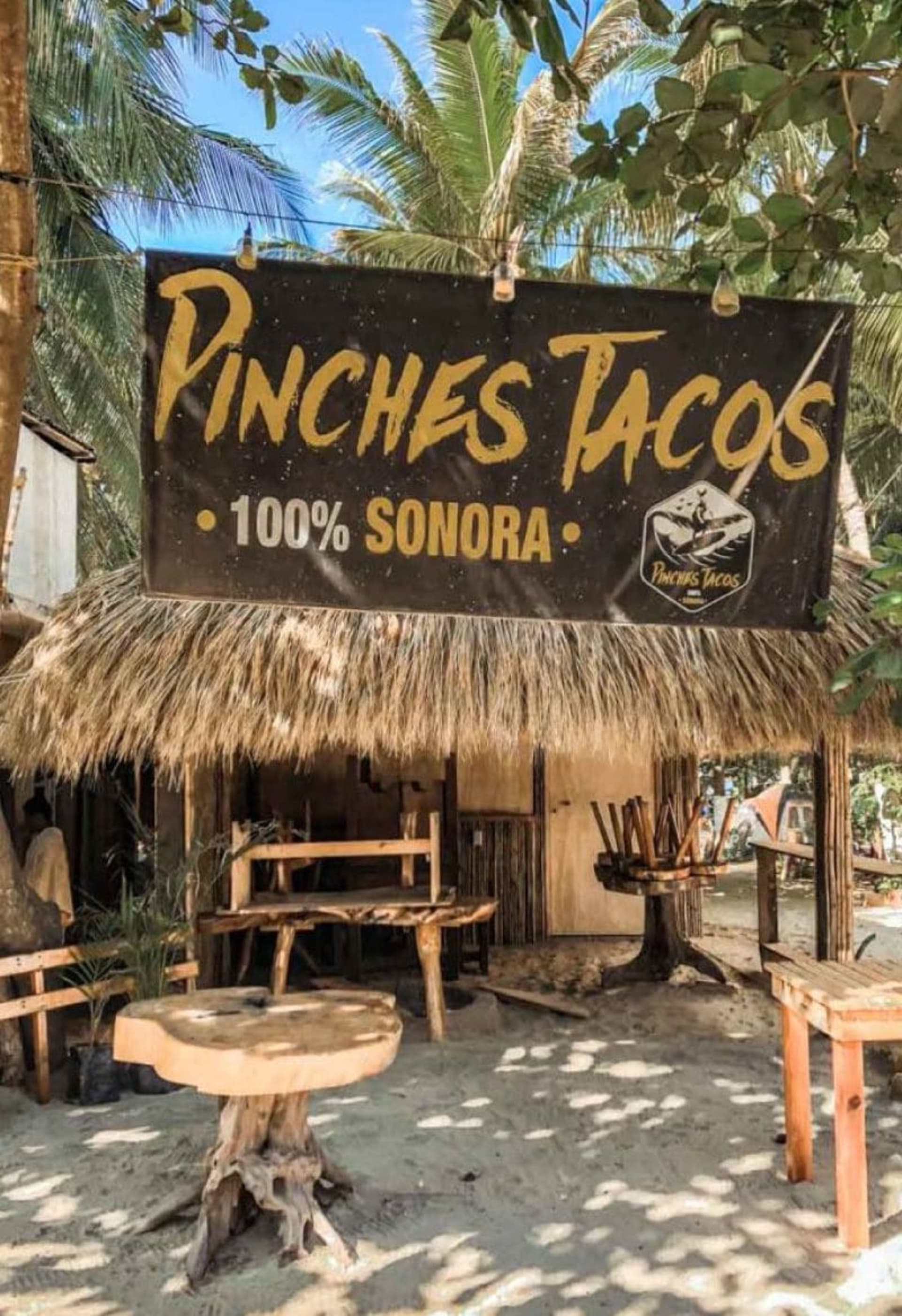 pinches tacos puerto escondido