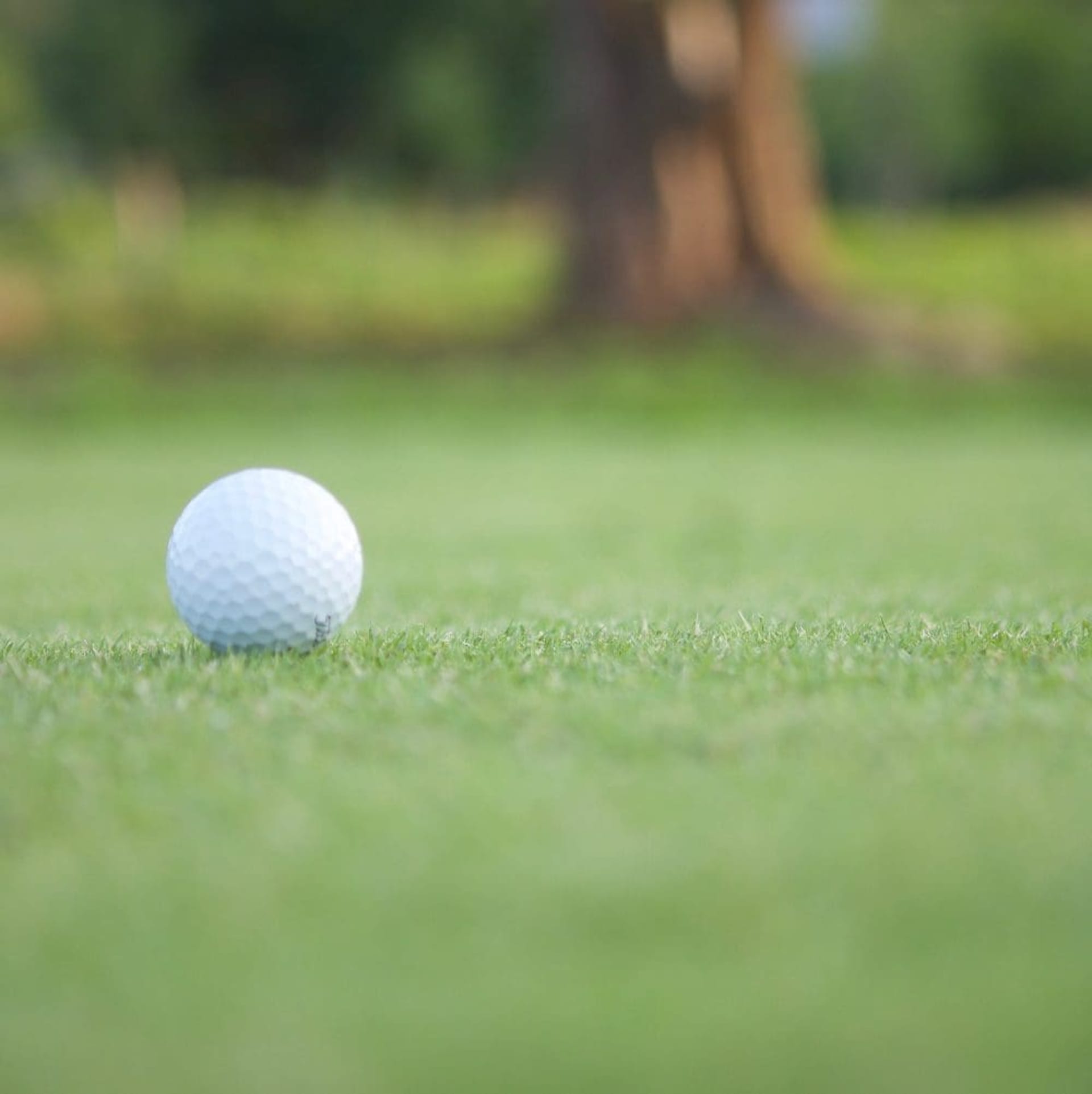 destacado golf puerto escondido