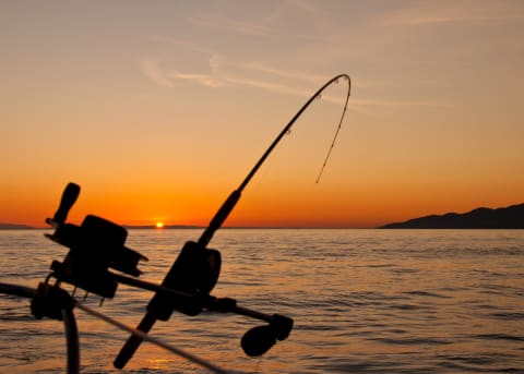 7 Tips para salir a pescar en Puerto Escondido