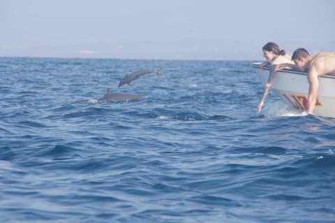Los 8 Imprescindibles Para Su Tour de Delfines en Puerto Escondido