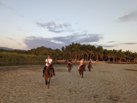 Cómo prepararse para montar a caballo en Puerto Escondido: Playa vs Aguas Termales