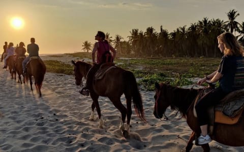 paseao a caballo atardecer