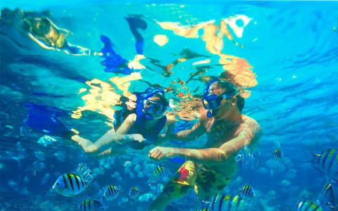 snorkeling