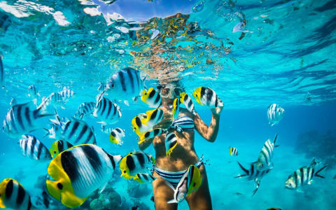 Snorkelling in Puerto Escondido