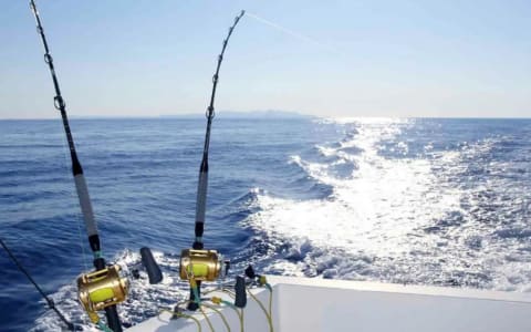 Sport fishing in Puerto Escondido
