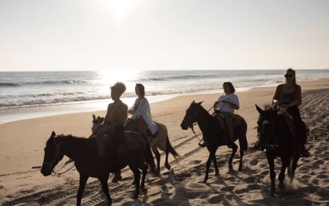My Amazing Horseback Riding Adventure in Puerto Escondido