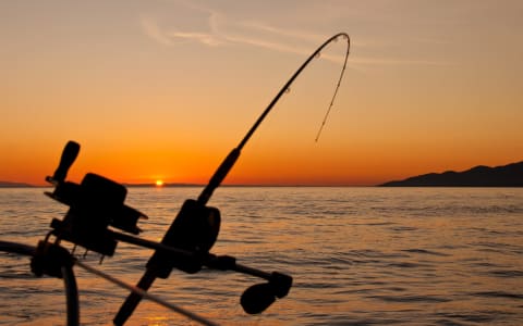7 Tips para salir a pescar en Puerto Escondido