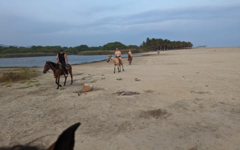 Los 10 tips para montar a caballo siendo principiante en Puerto Escondido