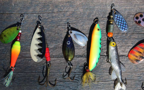 A Visitor’s Guide to Enjoying the November Fishing Contest in Puerto Escondido