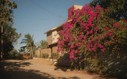 puerto escondido must do activities