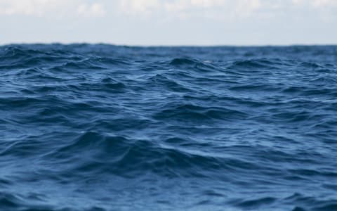 Planning the Perfect Group Fishing Tour in Puerto Escondido