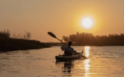 The Flora and Fauna You’ll Encounter Kayaking in Puerto Escondido’s Mangroves