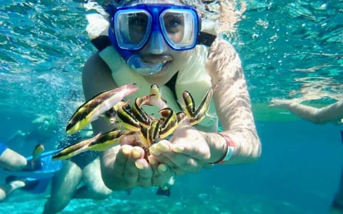 Playa Manzanillo Puerto Escondido: Your Gateway to an Underwater Snorkeling Paradise
