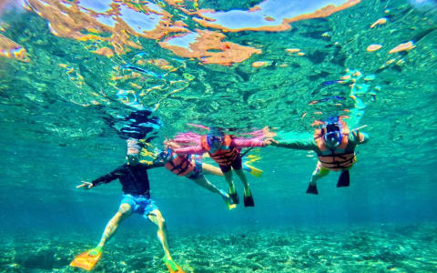 Puerto Angelito Beach: Complete Visitor’s Guide to Puerto Escondido’s Hidden Gem