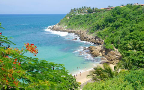 Playa Carrizalillo: Complete Guide to Puerto Escondido’s Best Swimming Beach