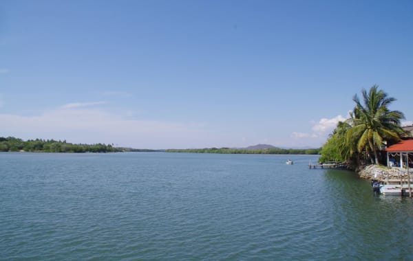 Crocodile Watching