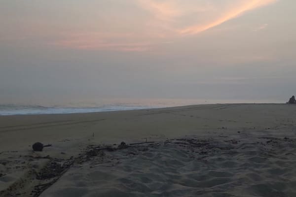 Delfín Beach