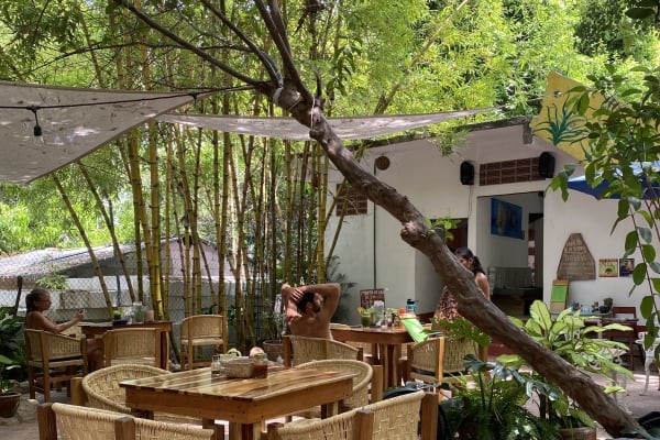 Café Elephant Garden