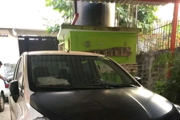 Hojalateria y pintura Palacios