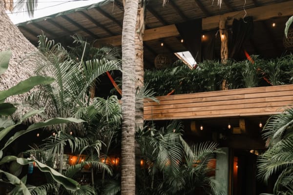 Casa Frutas y Verduras