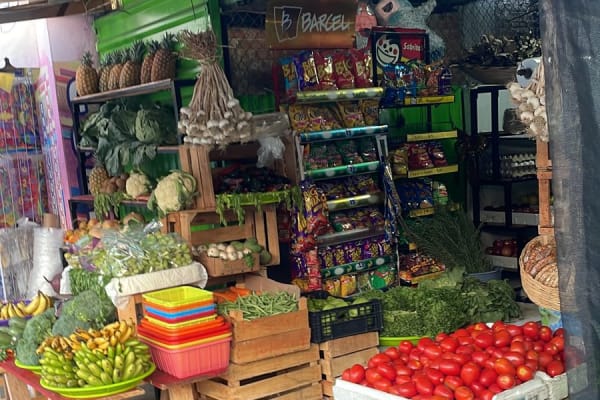 Frutas y verduras "Doña Gloria"