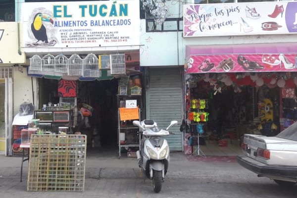 El Tucan
