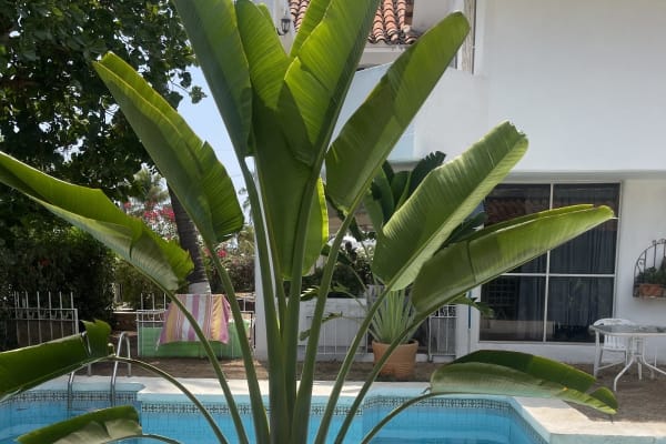 Cabana Blanca