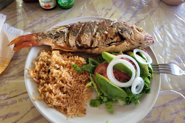 Comedor Reyna
