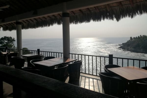 Restaurante la palapa carrizalillo 1