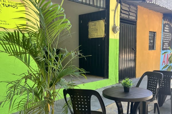 El jardín