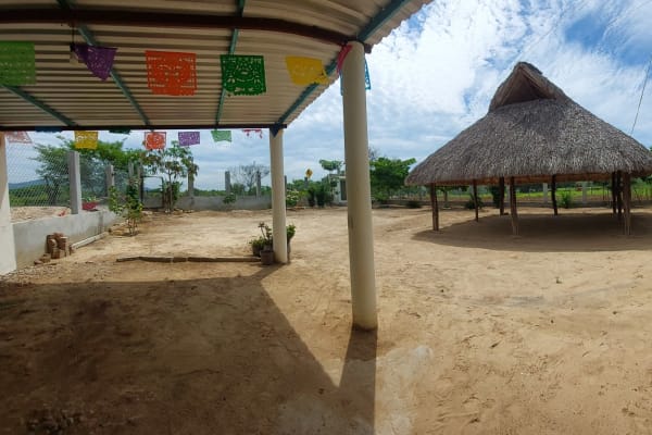 La Palapa de Andy