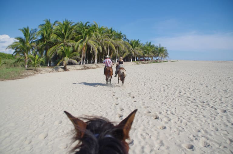 Paseo a Caballo al Atardecer 3