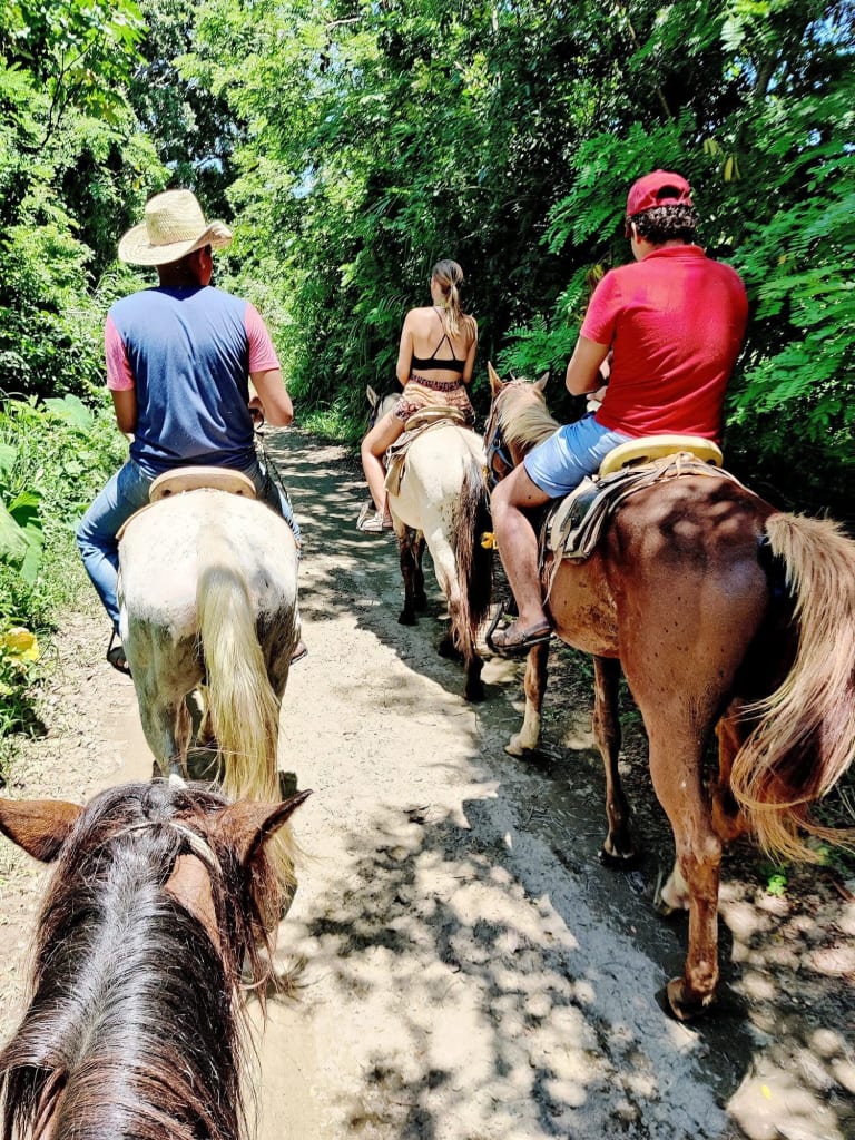 Paseo a Caballo al Atardecer 14
