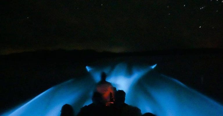 Tour de Bioluminiscencia 4
