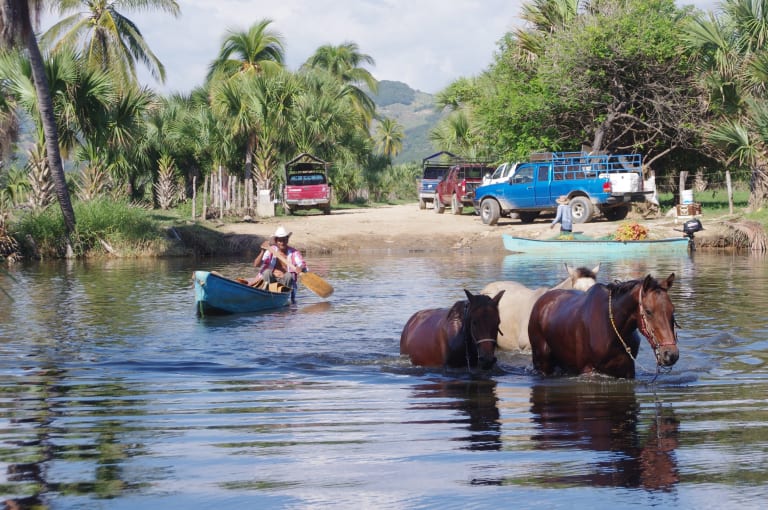 horse crossing lagoon puerto escondido