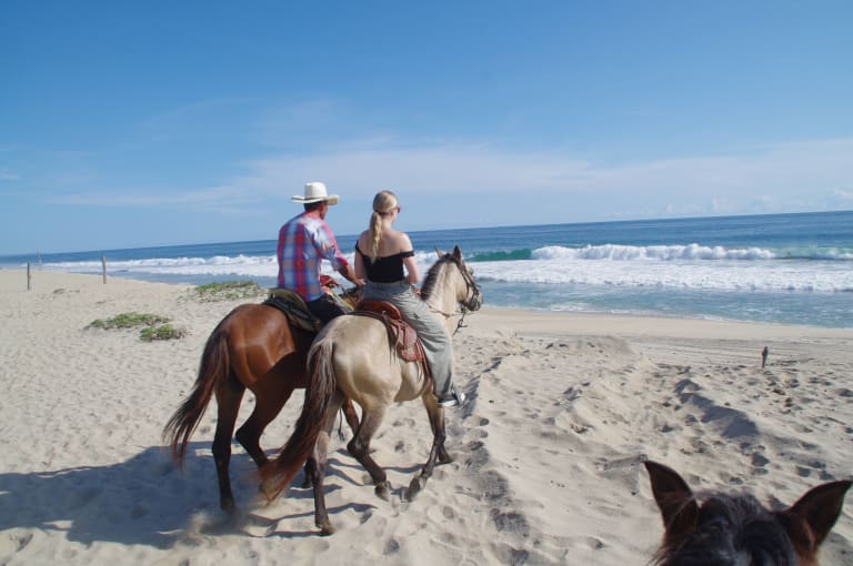 Sunset Horseback riding 7