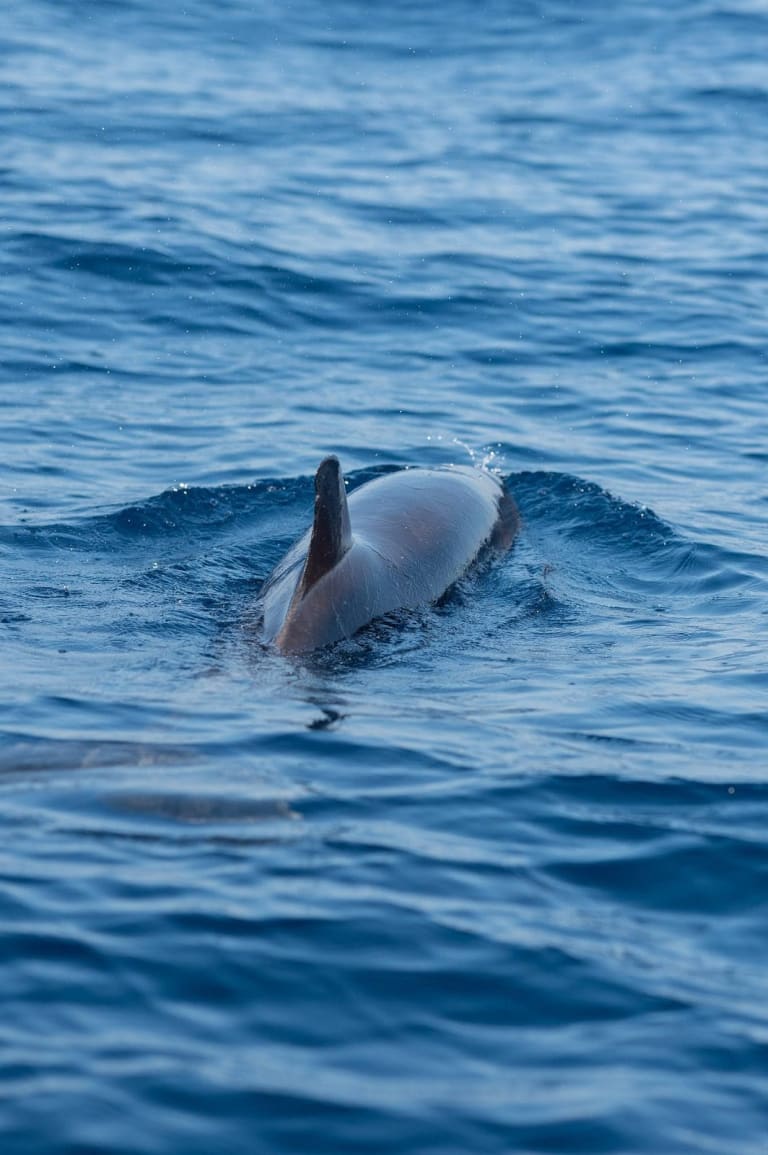 Tour de pêche privé 6